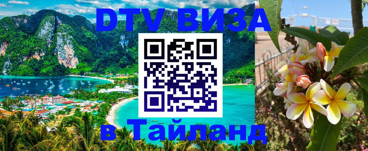 Оформление DTV визы под ключ: стоимость и тарифы, только загранпаспорт - Кисловодск 